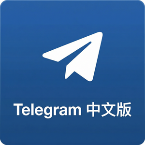 纸飞机中文版消息翻译功能开启与使用方法（亲测可用） - Telegram 官网